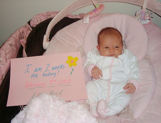 Two Weeks Old